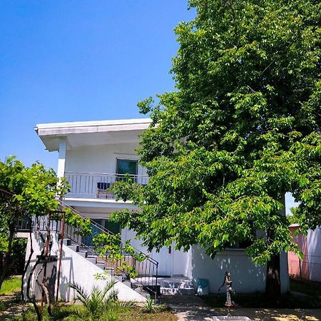 Renata Holiday Apartments Ulcinj Eksteriør billede