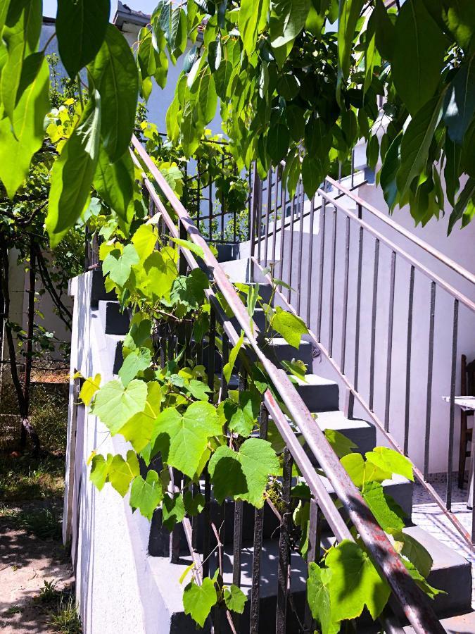 Renata Holiday Apartments Ulcinj Eksteriør billede