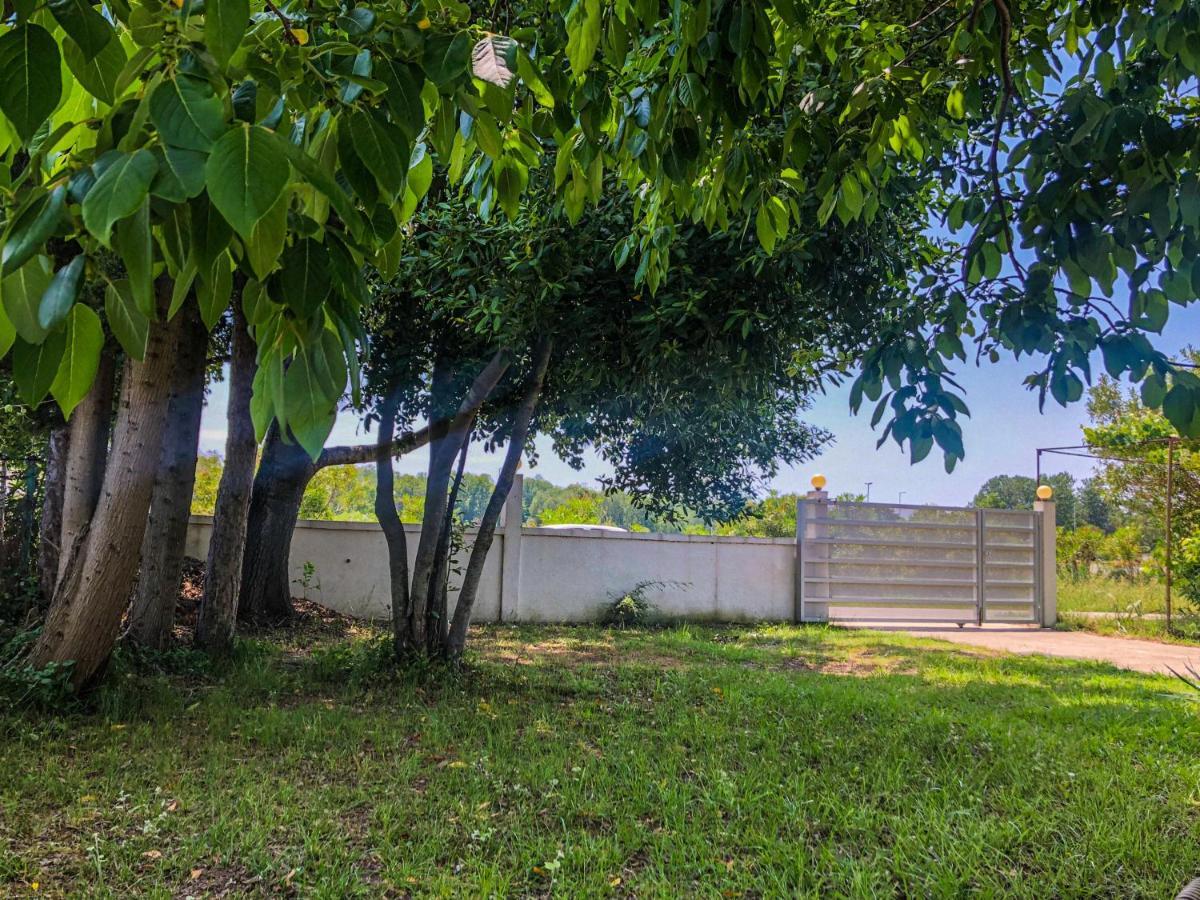 Renata Holiday Apartments Ulcinj Eksteriør billede